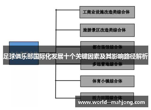 足球俱乐部国际化发展十个关键因素及其影响路径解析 足球俱乐部国际化发展十个关键因素及其影响路径解析