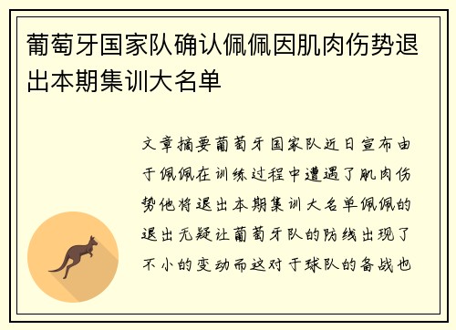 葡萄牙国家队确认佩佩因肌肉伤势退出本期集训大名单