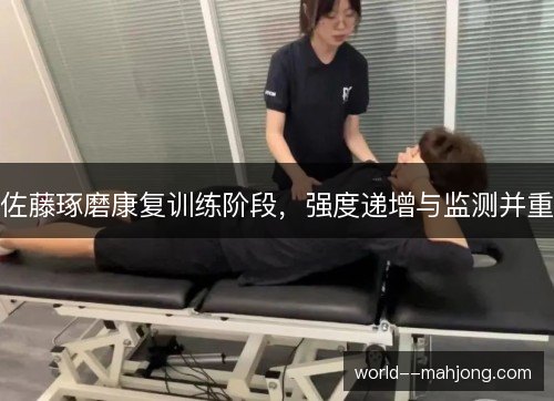 佐藤琢磨康复训练阶段,强度递增与监测并重 佐藤琢磨康复训练阶段,强度递增与监测并重
